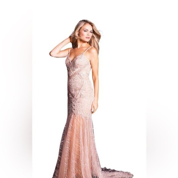 Jovani Style 49569 Fit & Flare Beaded Embroidered Mermaid Blush Gown Size 6 - Picture 2 of 16